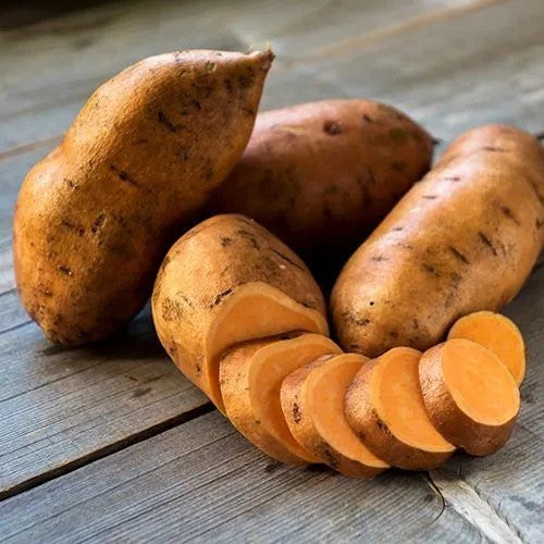 Zoete Aardappels 'Indosweet'