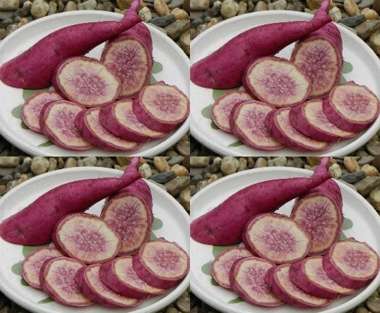 Zoete Aardappels 'Radiosa'