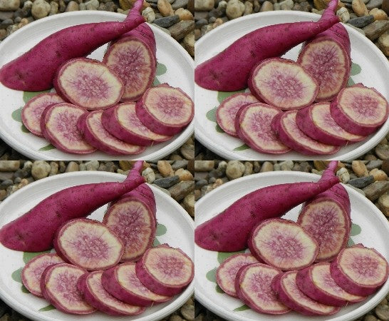 Zoete Aardappels 'Radiosa'