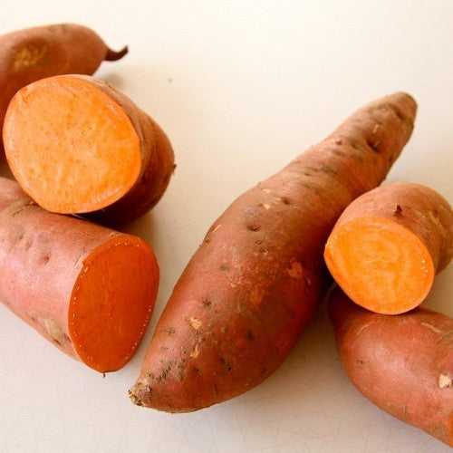 Zoete Aardappels 'Garnet'