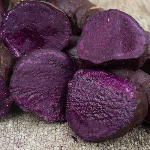 Zoete Aardappels 'Okinawan Purple' / 'Molokai Improved'