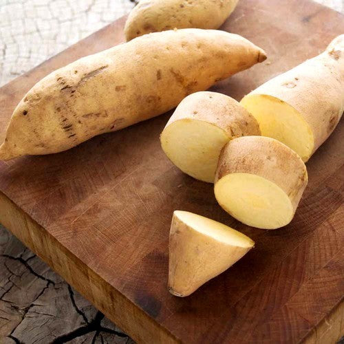Sweet Potatoes 'Bonita' / 'Belle'