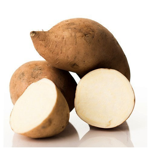 Sweet Potatoes 'Bonita' / 'Belle'