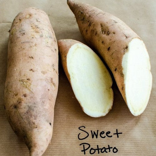 Sweet Potatoes 'Bonita' / 'Belle'