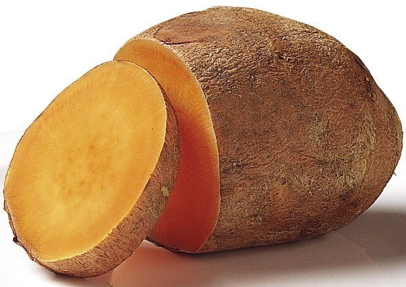 Zoete Aardappels 'Georgia Jet'