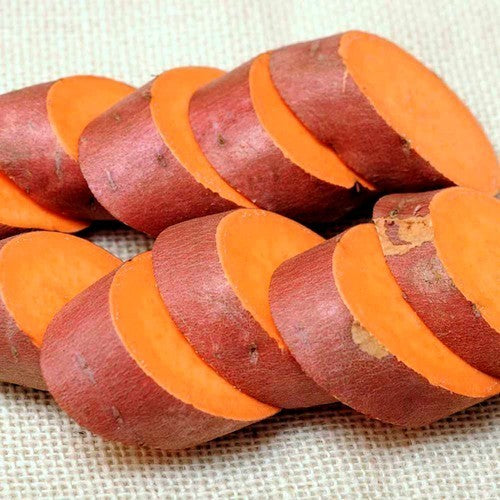 Sweet Potatoes 'Burgundy'