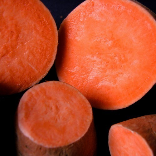 Zoete Aardappels 'Seppe'