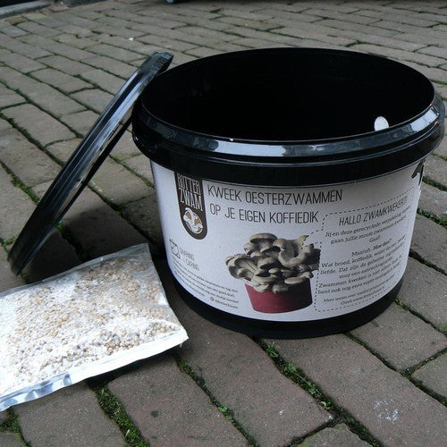 Rotterzwam Kweekset