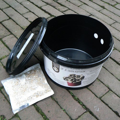 Rotterzwam Kweekset