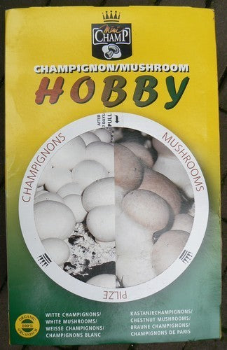 Mini-Sets - Helderwitte Champignons