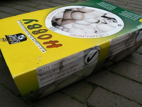 Mini-Sets - Helderwitte Champignons