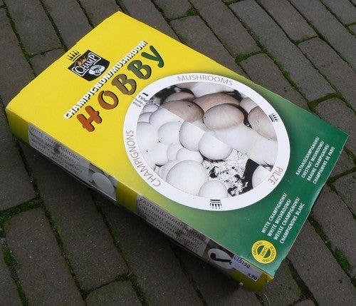 Mini-Sets - Franse (Beige) Champignons