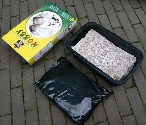 Mini-Sets - Franse (Beige) Champignons