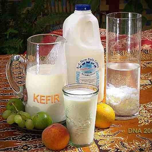 Yogurt starter or Kefir (Powder form)