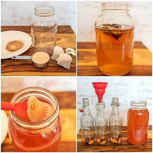 Kombucha Basis