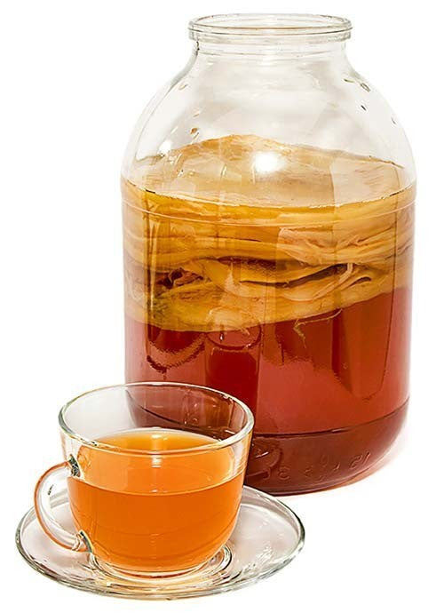 Kombucha Basis
