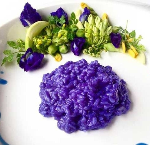 Clitoria ternatea 'Double Blue'
