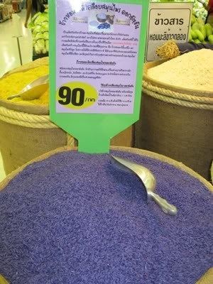 Clitoria ternatea 'The Blues'