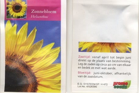 Helianthus annuus 'Reuzen'
