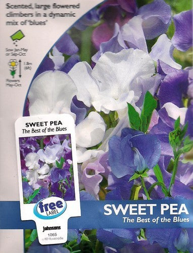 Lathyrus odoratus 'Best of The Blues'