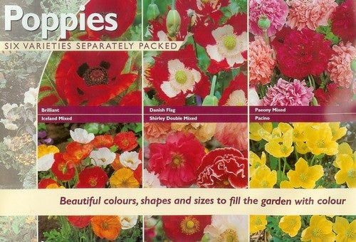 Papaver Papavercollectie