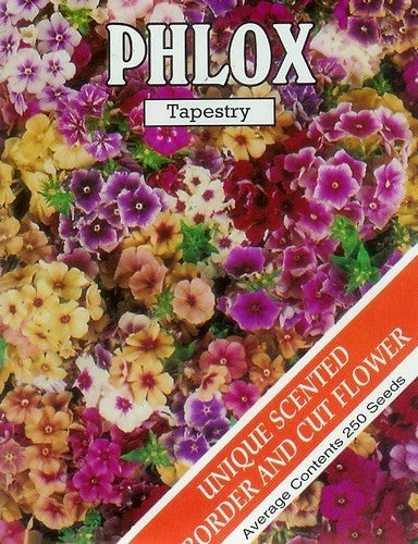 Phlox drummondii grandiflora 'Tapestry Mixed' / 'Art Shades'