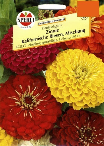 Zinnia elegans 'California Giants'