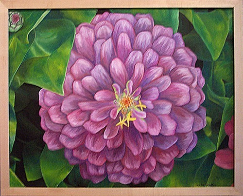 Zinnia elegans 'Dream'