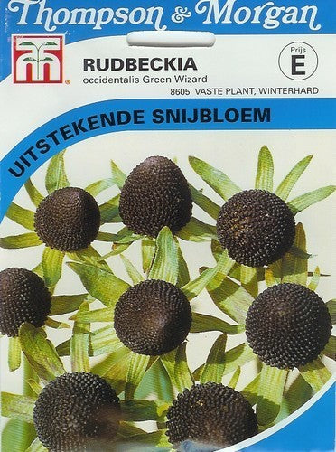 Rudbeckia occidentalis 'Green Wizard' / 'Black Beauty'