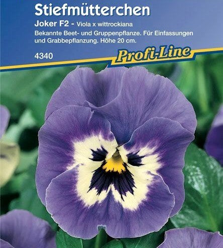 Viola Wittrockiana Hybrids 'Joker Light Blue' F2 / 'Inspire'