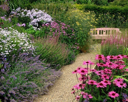 Cottage Garden