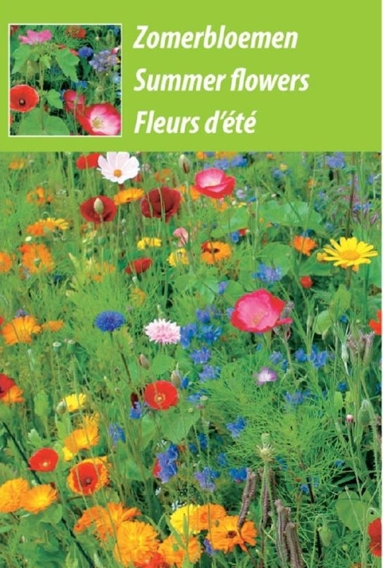 Zomerbloemen Gemengd
