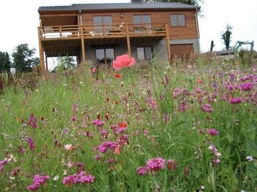 Wildbloemenmengsel