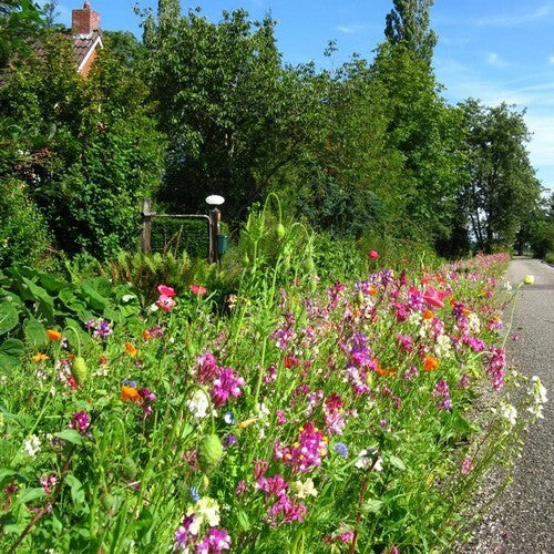 Wildbloemenmengsel