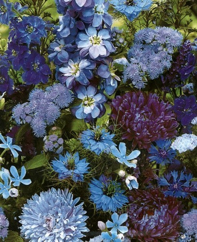 Tuinboeket in Blauw