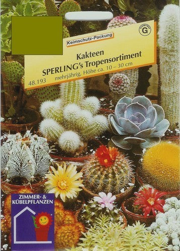 Cacti / Succulents Tropical Assortment