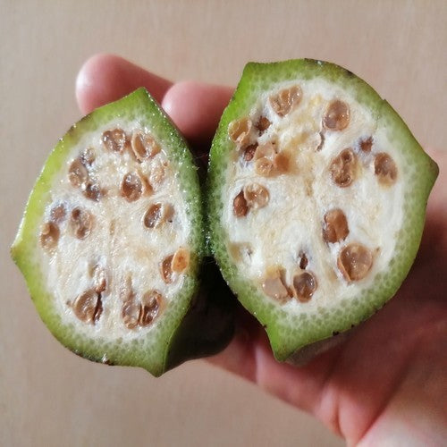 Musa balbisiana