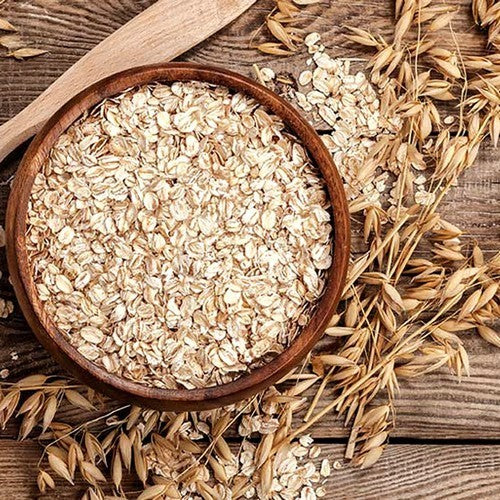 Avena sativa 'Oude Zeeuwse'