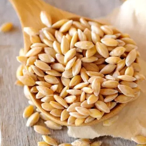 Einkorn wheat