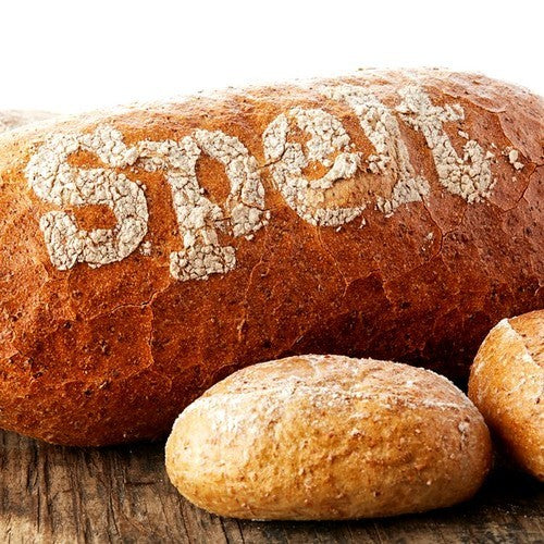 Triticum spelta 'Sammy' / 'Martongold'