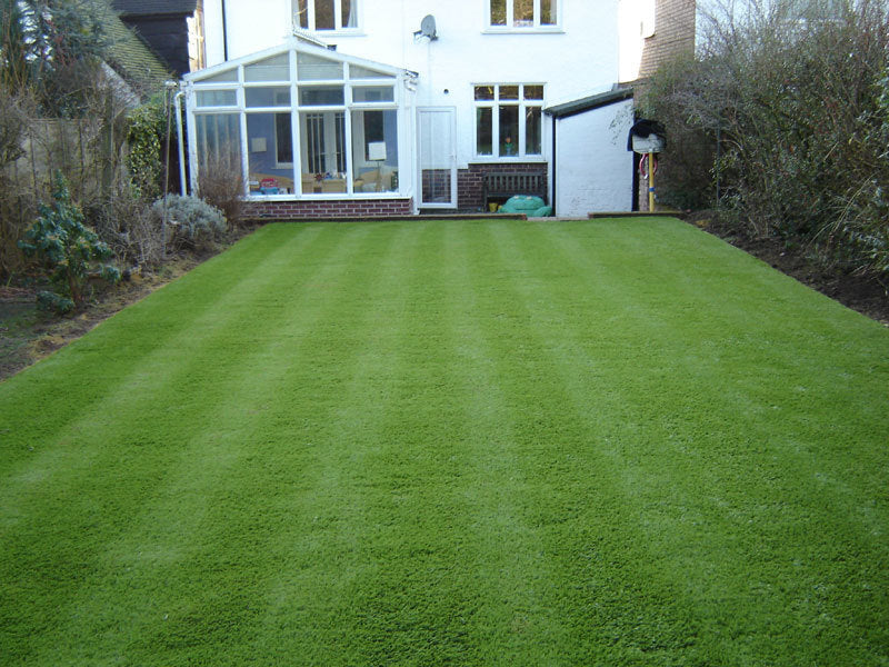 GazonGras Siertype 'Siergazon Royal'