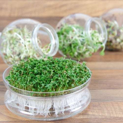 ORGANIC BOWL