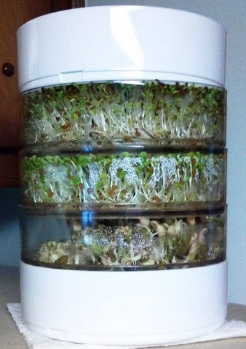 Bioset Drying Rack