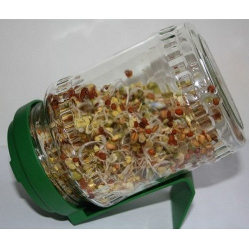 Kiempot