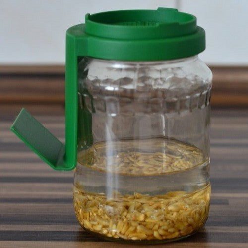 Kiempot