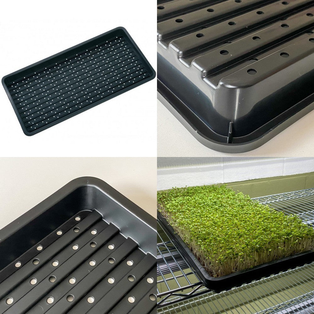 Kweekschotel Microgroente G213B