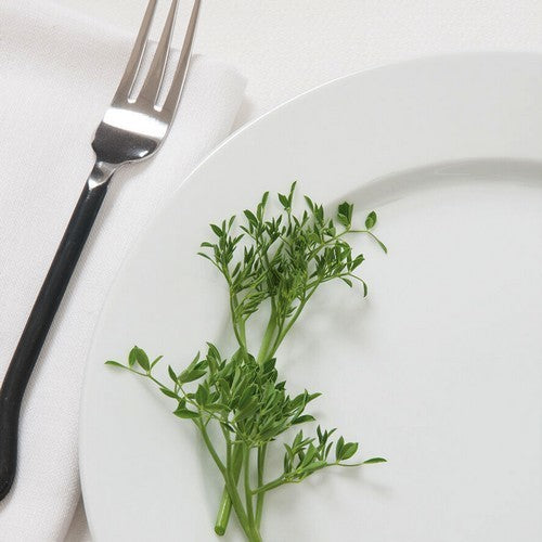 Micro Pea Shoot 'Petite Snap-Greens'