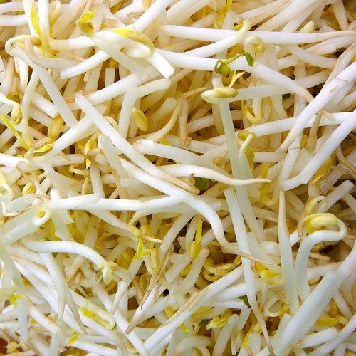 TAUGÉ