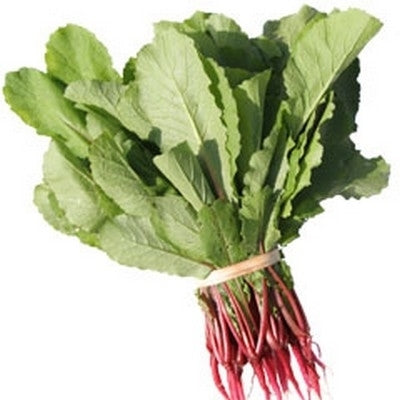 Radijskiem, Roze 'Rioja Improved'
