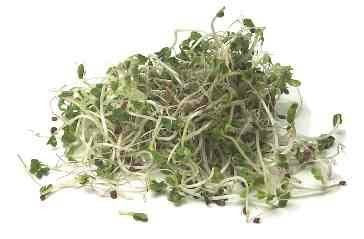 BroccoliKers